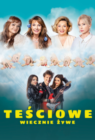 Performance s layout a4 plakat tesciowe