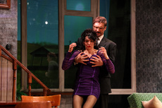 Performance gallery s proba 6