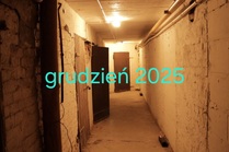 Gallery s 6431
